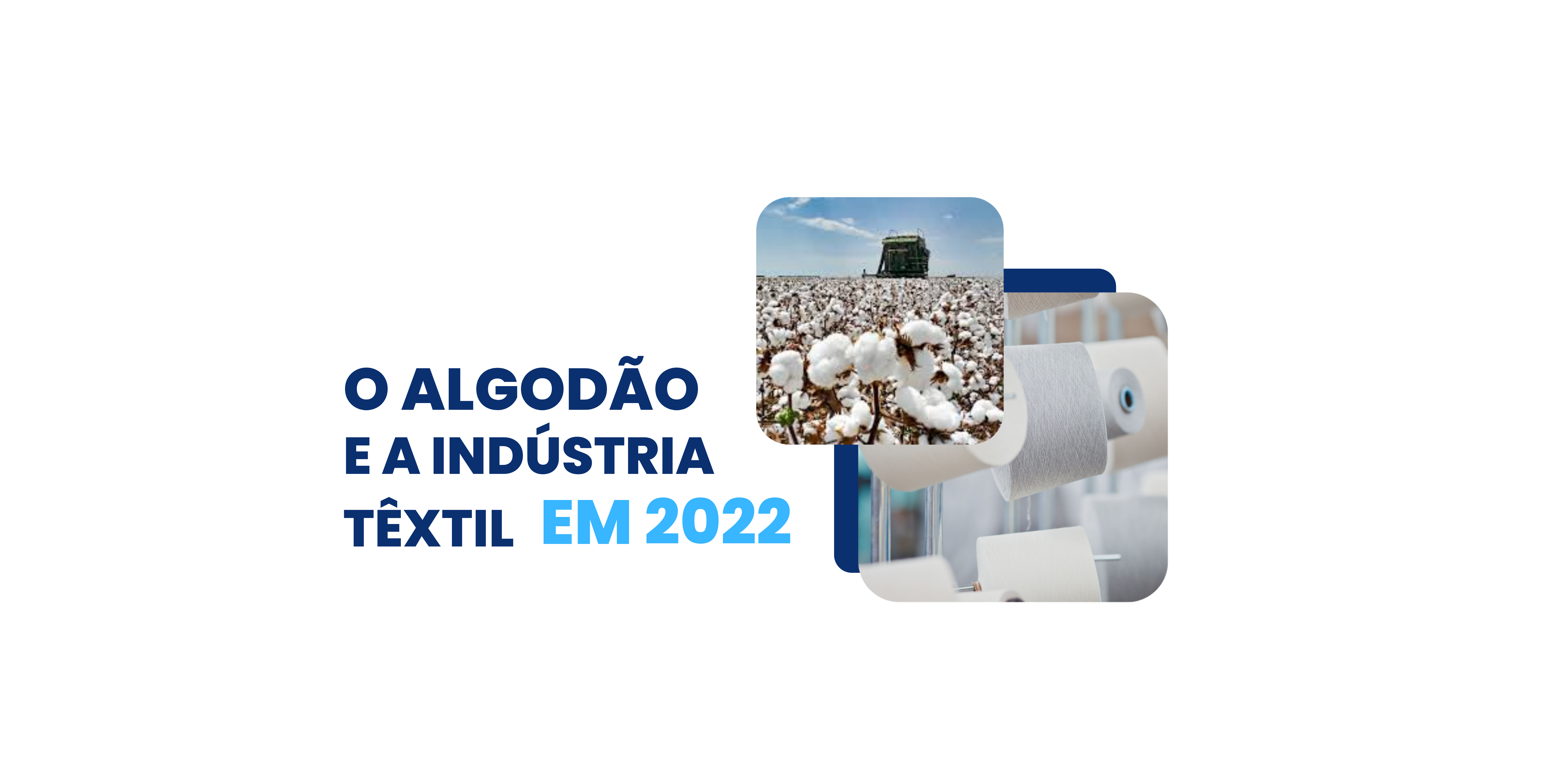 algodão e a indústria têxtil brasileira
